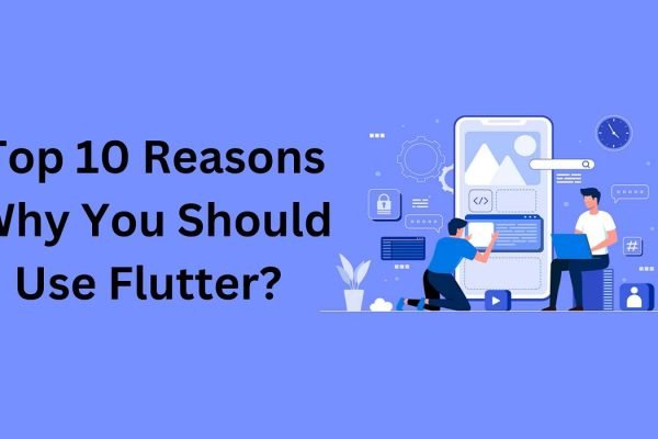 Top 10 Reasons Why You Should Use Flutter?