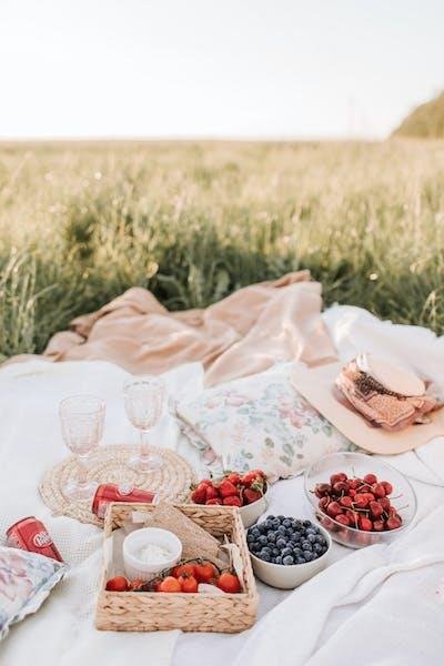 6 Fun Things To Carry With Friends On A Picnic 2