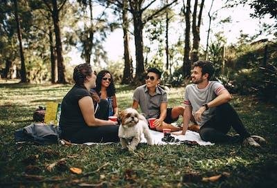 6 Fun Things To Carry With Friends On A Picnic