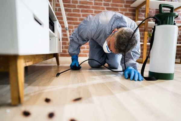 Reasons Why You Should Get Pest Control From An Exterminator?