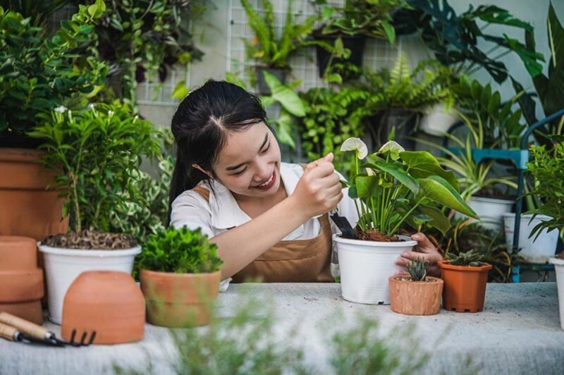 3 Innovative Gardening Techniques for Limited Spaces