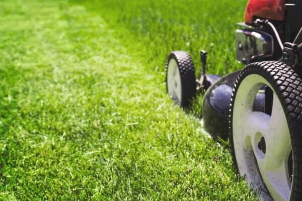 Advice For Starting Your Very Own Lawn Care Business