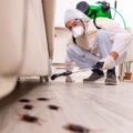 How Professional Pest Control Can Remove Termite Infestations in High-Rise Commercial Buildings