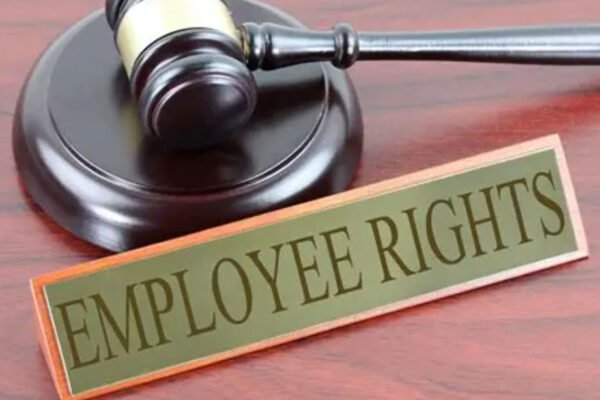What is in The Employment Rights Bill?