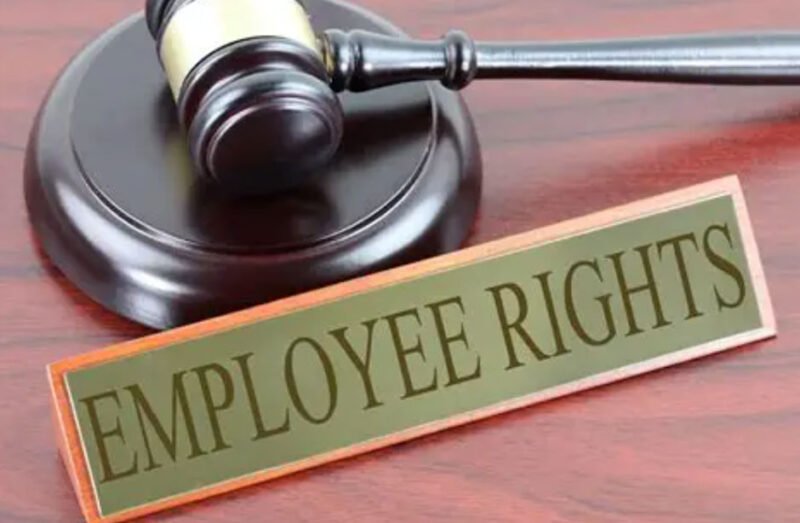 What is in The Employment Rights Bill?